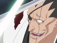 Kenpachi declares that he fights because it amuses him.