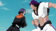 WZF Bleach - Capitulo 217 HD X264-AAC 848X480 Sub Esp 015 0001