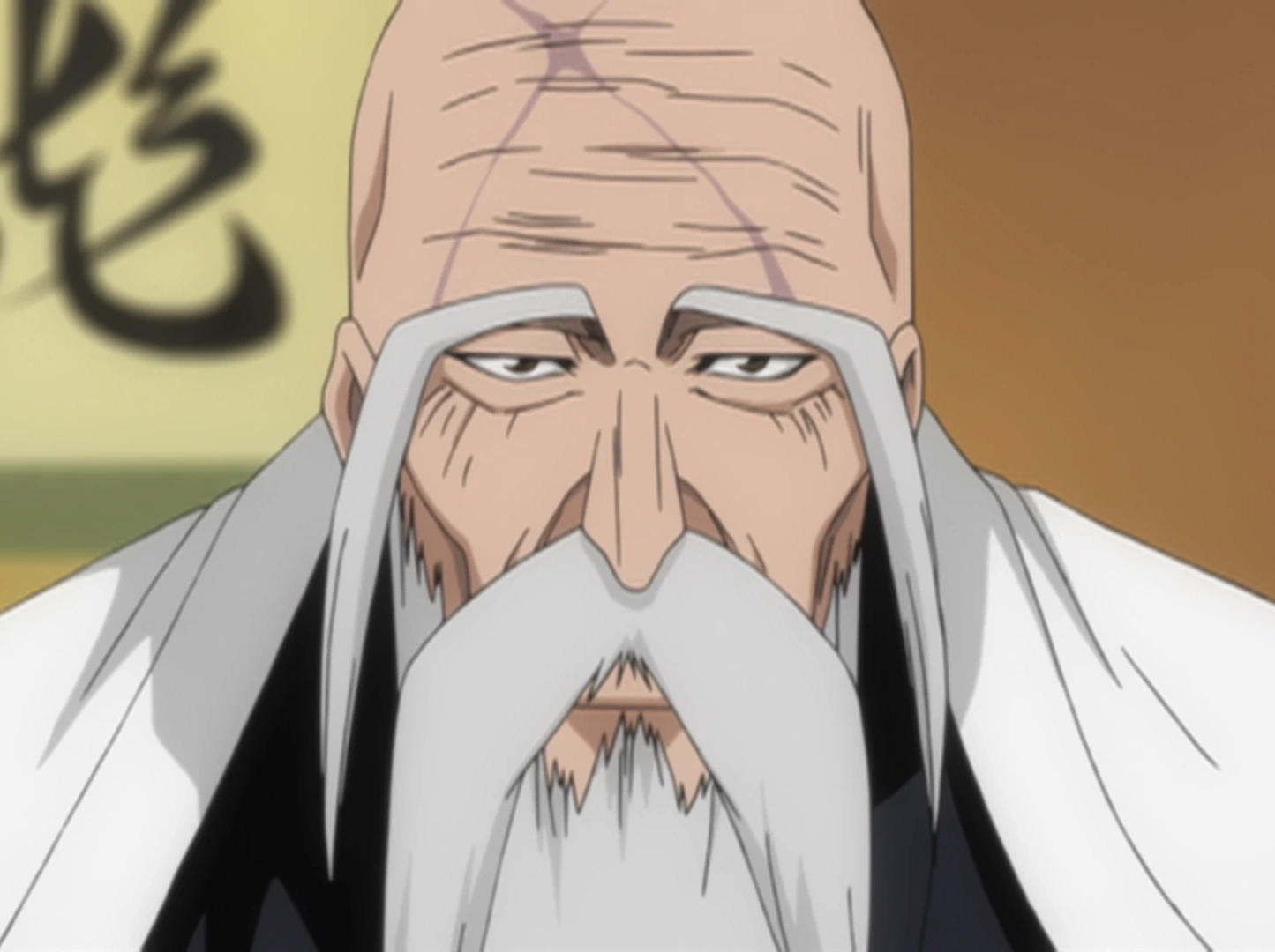 Genryusai Shigekuni Yamamoto Bleach Wiki Fandom