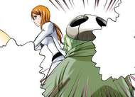 Nel begs Orihime Inoue to save Ichigo.