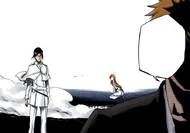 Ichigo entrusts Uryū with protecting Orihime.