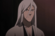 Ukitake asks Hitsugaya what is wrong.