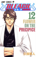 Aizen on the cover of Volume 12.