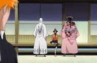 Yoruichi explains the situation to Kyoraku and Ukitake