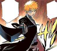 Ichigo proclaims that he achieved Bankai in order to step on Byakuya's pride.