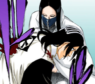 Äs impales Byakuya with his hand.