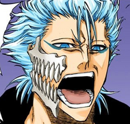 Grimmjow.