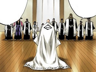 Yamamoto address Gin and the other captains after Renji's defeat.