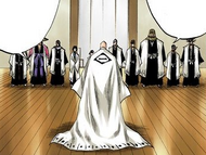 Genryūsai Shigekuni Yamamoto addresses Mayuri and the other captains after Renji Abarai's defeat.