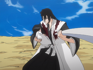 Byakuya saving Rukia from Gin's Shikai attack.