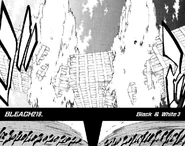 219. Black & White 3