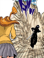 Orihime asks Rukia to let her follow through the Dangai.