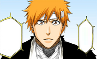 Ichigo is told to do what is best for himself.