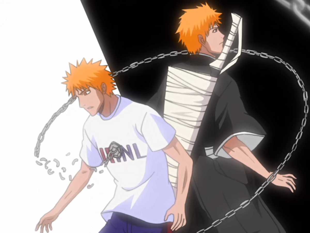 Ichigo Was Never A Shinigami Before