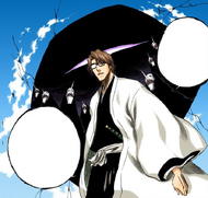 Aizen explains why he has done all this.