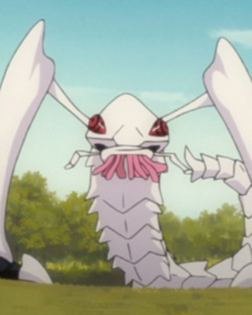 Tapeworm Hollow Bleach Wiki Fandom Ikomikidomoe was much stronger than all the espada and quincy present, including harribel excerpt from the bleach wiki page on zaraki kenpachi: tapeworm hollow bleach wiki fandom