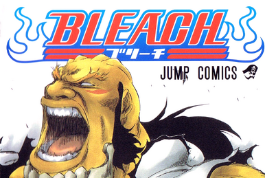 Bleach season 14 Ichigo vs. Ulquiorra, Conclusion! - Metacritic