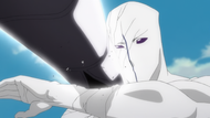 Aizen is punched and severely damaged by Yoruichi after the latter activates Shunkō.