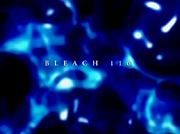 Bleach 116