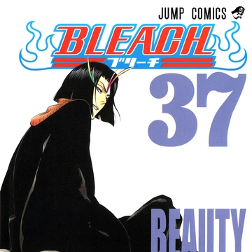 Beauty Is So Solitary Bleach Wiki Fandom