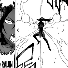 Yoruichi-shunko-raijin-senkei