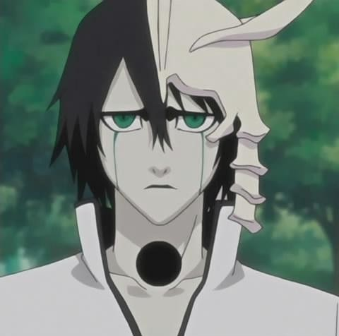 ulquiorra cifer bleach wiki fandom