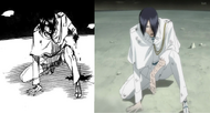 Ichigo Dies! Orihime, the Cry of Sorrow!, Bleach Wiki