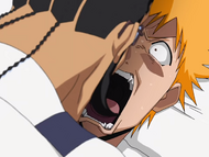 Ichigo Kurosaki wakes up to find Tessai lying on top of him.