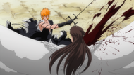 Ichigo slashes Aizen.