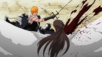 Featured image of post Bleach Ichigo Final Form Vs Aizen From ichigo s perspective aizen looked like a person with three pairs of butterfly wings