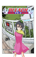 Rukia on the cover of Chapter 29.