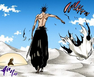 Kenpachi discards his tattered haori.