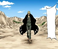 Urahara arrives at Ichigo's fight with Aizen as his Kyūjūrokkei Kakafūmetsu activates.