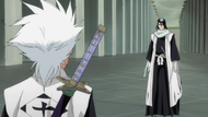 Byakuya encounters Reigai Hitsugaya.