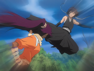 Yoruichi blocks Suì-Fēng's kick with her wrist.