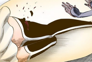 Orihime reattaches Loly's leg with Sōten Kisshun.