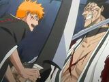 Ichigo Kurosaki vs. Kenpachi Zaraki