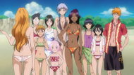 Unohana, the other girls, and Ichigo at the beach.