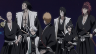 Ep362ShingamiAndIchigo