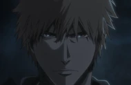 Ichigo regains his resolve after learning the truth about his mother, his powers, and his connection to Yhwach.