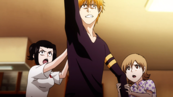 Karin Kurosaki Bleach Wiki Fandom Bleach is the anime version of manga writer tite kubo's book series of the same name. karin kurosaki bleach wiki fandom