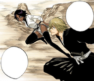 bleach 3rd phantom bankai training guide 130Urahara and Yoruichi train