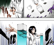 Rukia is bound by the execution restraints.