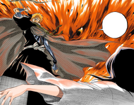 Ichigo saves Rukia from her execution.