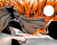 Ichigo saves Rukia.