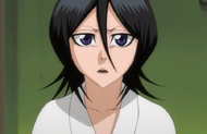 Rukia asks Yoruichi about Byakuya.