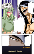 Nelliel and Nnoitra on the cover of Chapter 292.