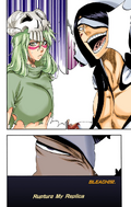 Nnoitra and Nelliel on the cover of chapter 292.