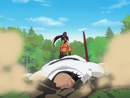 Yoruichi Shihōin incapacitates Yammy.