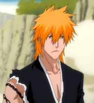 O308 Profilowe Ichigo po treningu w Dangai